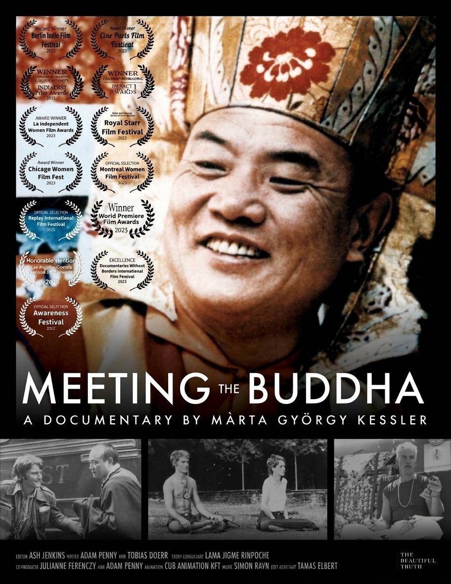 Meeting the Buddha — documentary poster