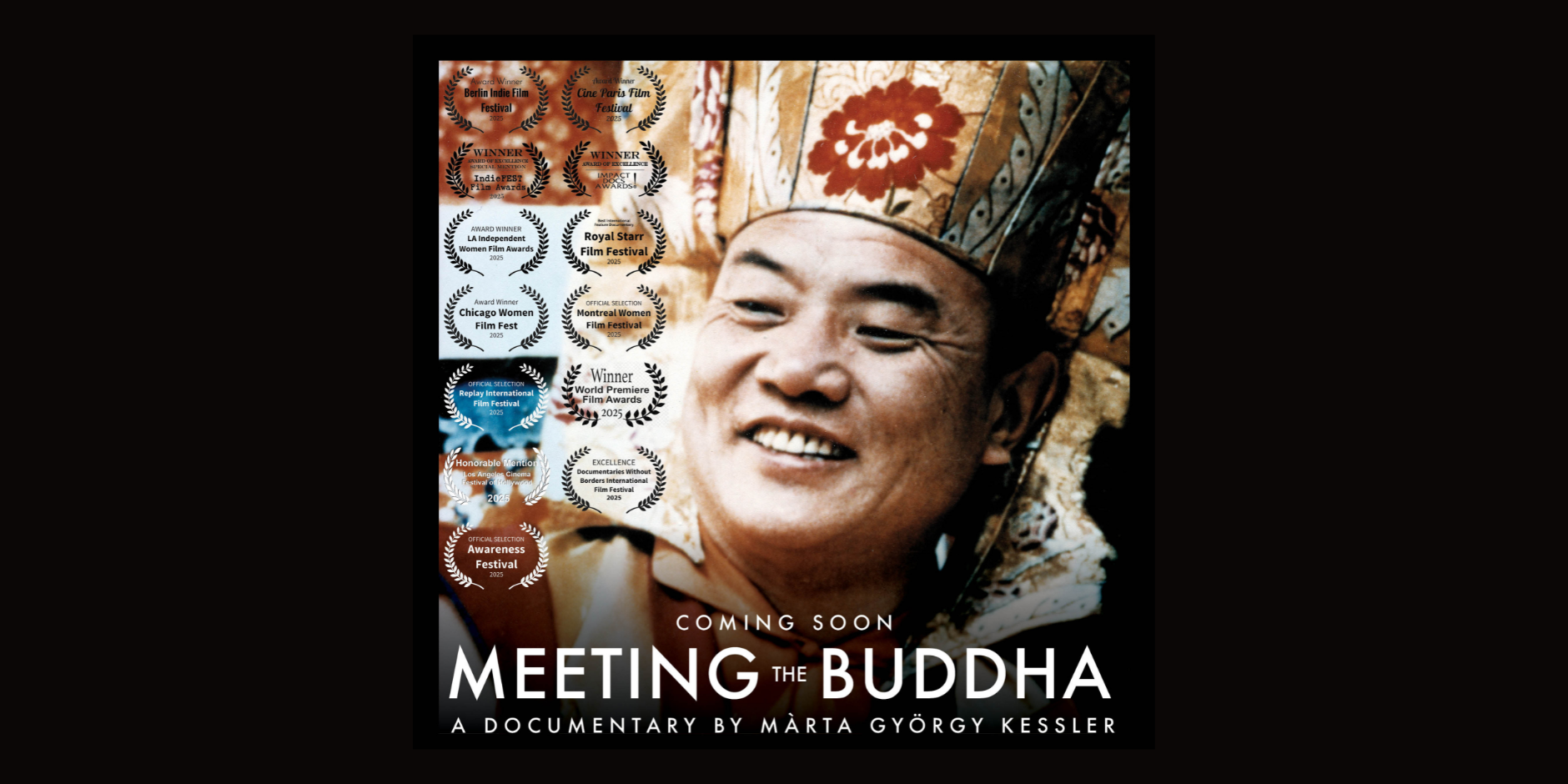Meeting the Buddha — documentary poster